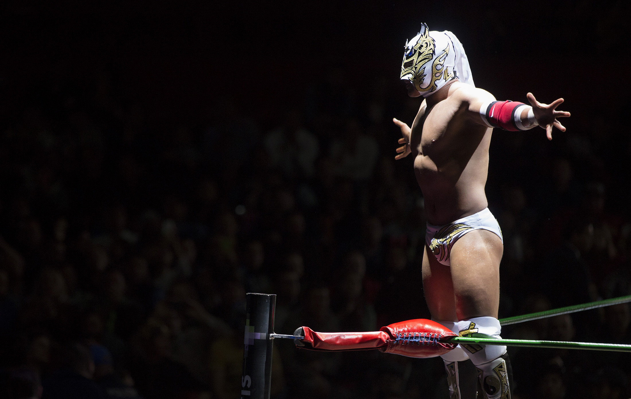 Fotos de cibernetico luchador 45 Fotos de cibernetico luchador 6