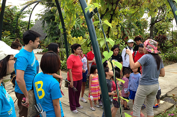 Employees in Singapore volunteered in an Outdoor Gardening program at the Garden by the Bay.