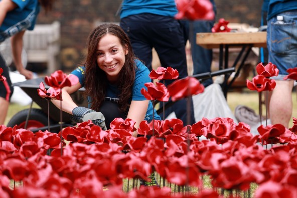 Bloomberg Volunteers