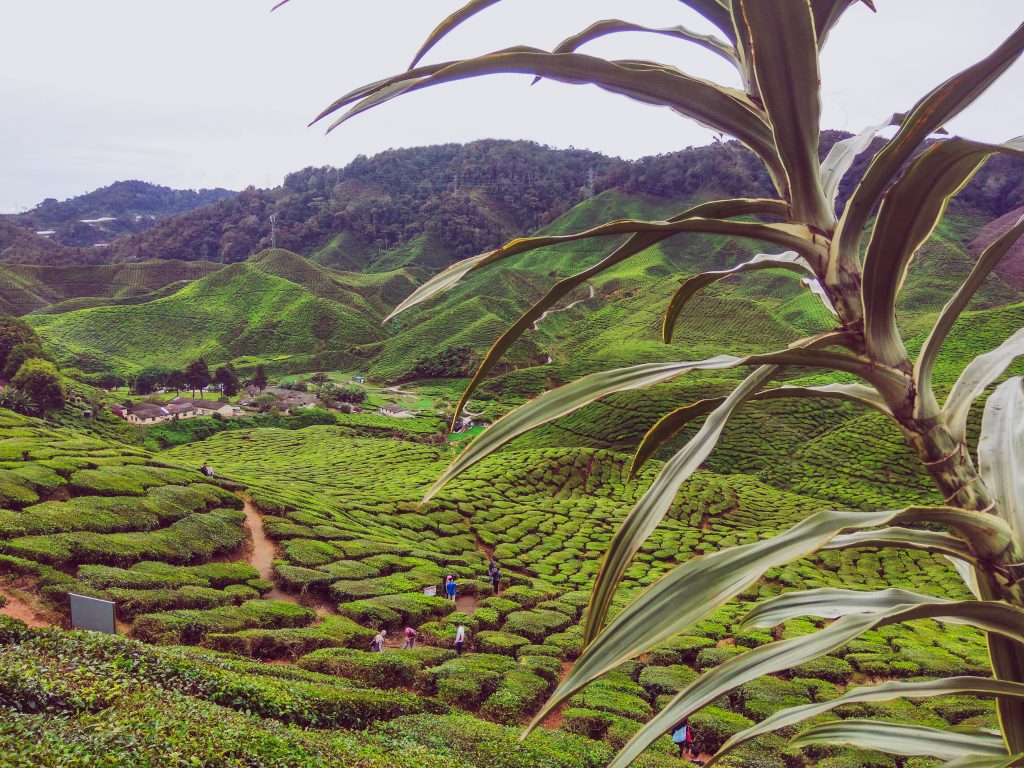 Data for Good Exchange 2019's "Prosperity & Peace" track looks at the use of data science to tackle Sustainable Development Goals (SDGs) related to economic, social and technological progress.